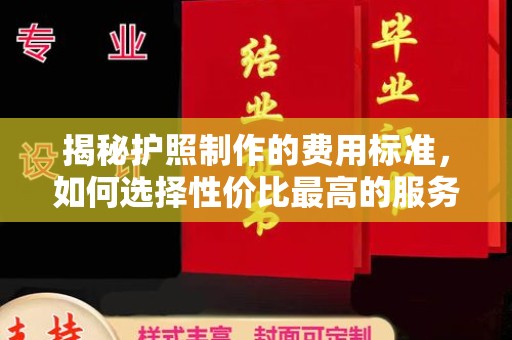 金普新区揭秘护照制作的费用标准，如何选择性价比最高的服务？
