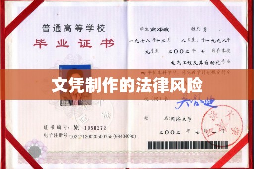 金普新区文凭制作的法律风险