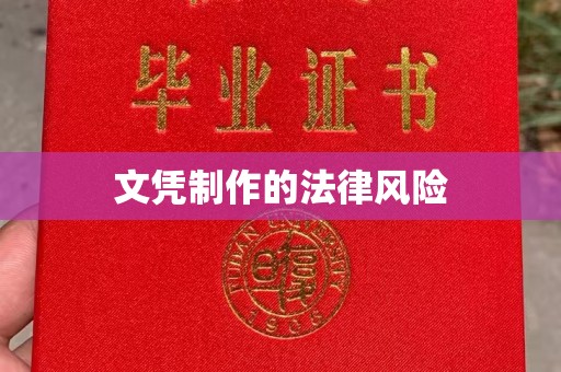 金普新区文凭制作的法律风险