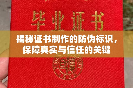 金普新区揭秘证书制作的防伪标识，保障真实与信任的关键