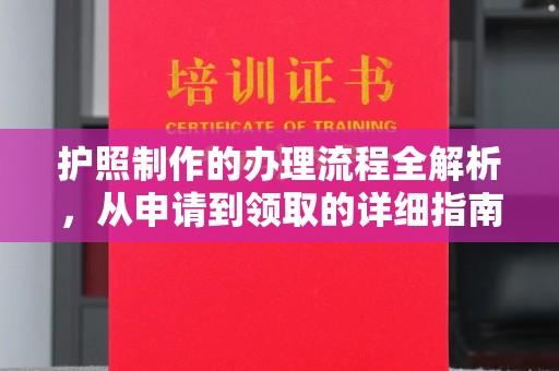 金普新区护照制作的办理流程全解析，从申请到领取的详细指南