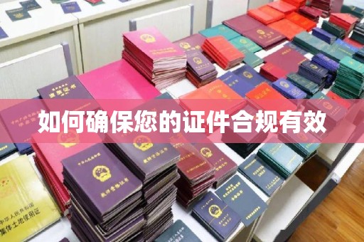金普新区如何确保您的证件合规有效