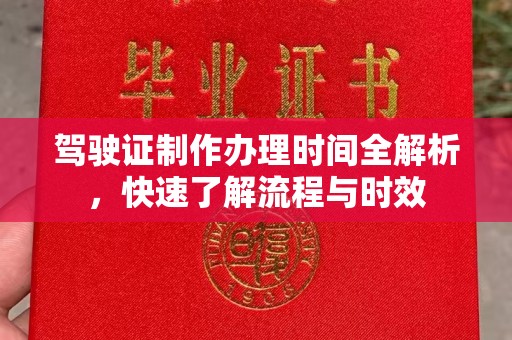 金普新区驾驶证制作办理时间全解析，快速了解流程与时效