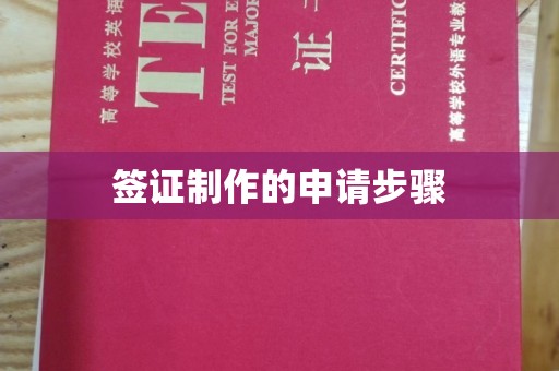 金普新区签证制作的申请步骤
