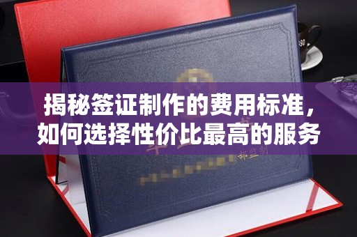 金普新区揭秘签证制作的费用标准，如何选择性价比最高的服务？