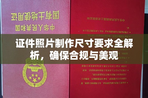金普新区证件照片制作尺寸要求全解析，确保合规与美观