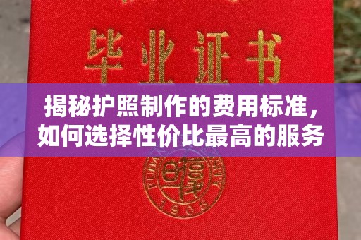 金普新区揭秘护照制作的费用标准，如何选择性价比最高的服务
