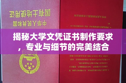 金普新区揭秘大学文凭证书制作要求，专业与细节的完美结合