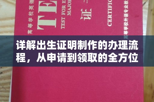 金普新区详解出生证明制作的办理流程，从申请到领取的全方位指南