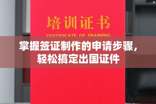金普新区掌握签证制作的申请步骤，轻松搞定出国证件