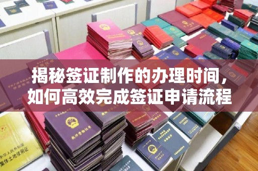 金普新区揭秘签证制作的办理时间，如何高效完成签证申请流程