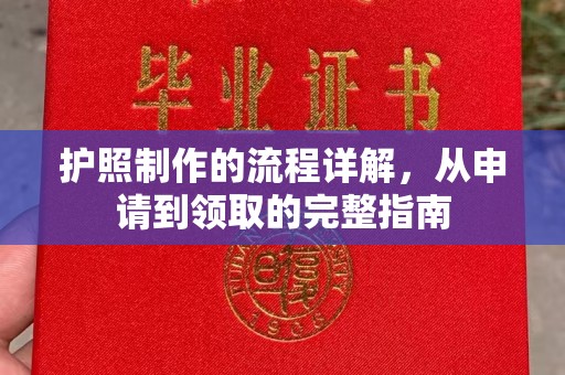 金普新区护照制作的流程详解，从申请到领取的完整指南