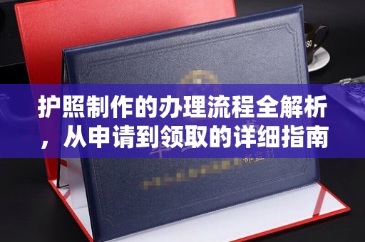 金普新区护照制作的办理流程全解析，从申请到领取的详细指南