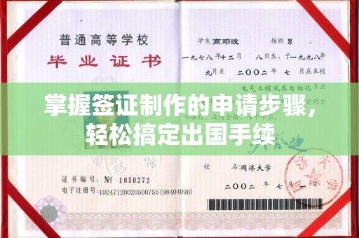 金普新区掌握签证制作的申请步骤，轻松搞定出国手续