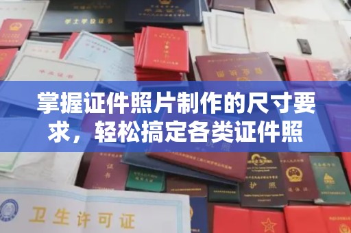金普新区掌握证件照片制作的尺寸要求，轻松搞定各类证件照