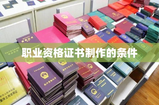 金普新区职业资格证书制作的条件