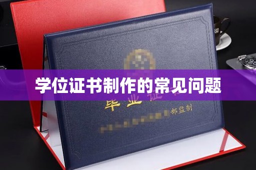 金普新区学位证书制作的常见问题