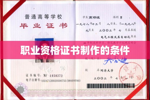 金普新区职业资格证书制作的条件