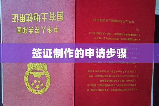 金普新区签证制作的申请步骤