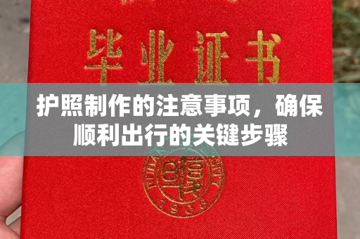 金普新区护照制作的注意事项，确保顺利出行的关键步骤
