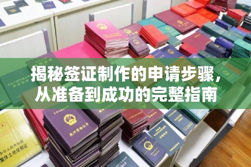 金普新区揭秘签证制作的申请步骤，从准备到成功的完整指南