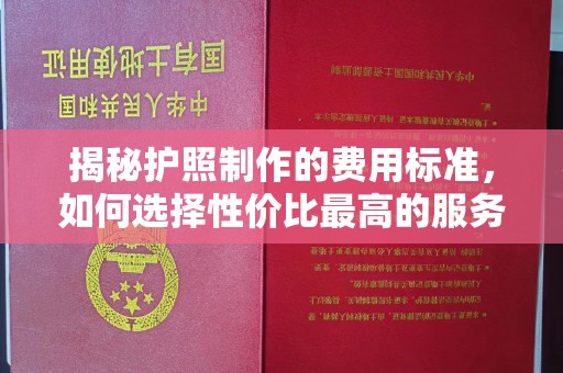 金普新区揭秘护照制作的费用标准，如何选择性价比最高的服务？