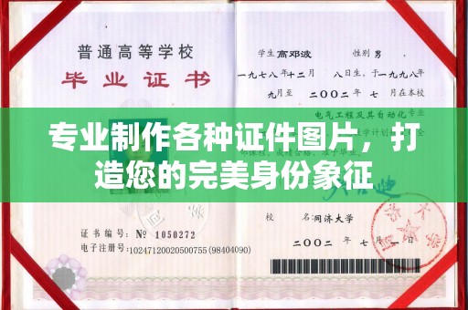 金普新区专业制作各种证件图片，打造您的完美身份象征