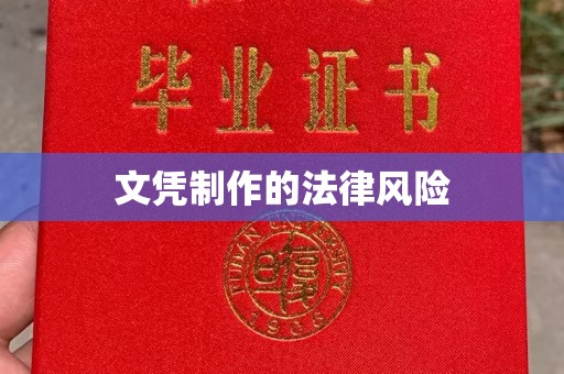 金普新区文凭制作的法律风险