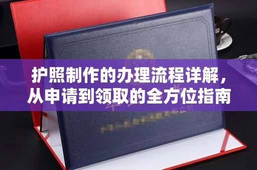 金普新区护照制作的办理流程详解，从申请到领取的全方位指南