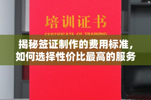 金普新区揭秘签证制作的费用标准，如何选择性价比最高的服务？