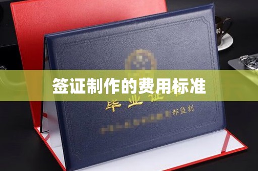 金普新区签证制作的费用标准