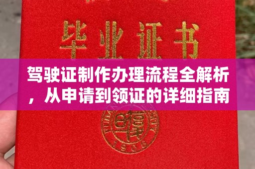 金普新区驾驶证制作办理流程全解析，从申请到领证的详细指南