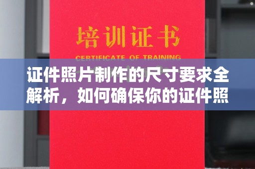 金普新区证件照片制作的尺寸要求全解析，如何确保你的证件照符合标准