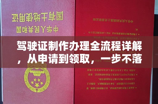 金普新区驾驶证制作办理全流程详解，从申请到领取，一步不落