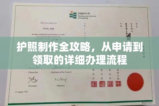 金普新区护照制作全攻略，从申请到领取的详细办理流程