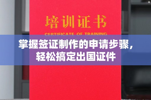 金普新区掌握签证制作的申请步骤，轻松搞定出国证件