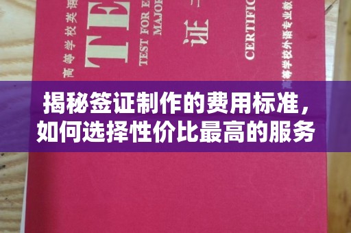 金普新区揭秘签证制作的费用标准，如何选择性价比最高的服务？