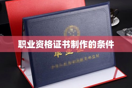金普新区职业资格证书制作的条件