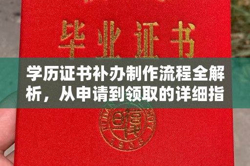 金普新区学历证书补办制作流程全解析，从申请到领取的详细指南