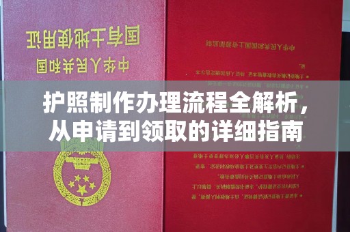 金普新区护照制作办理流程全解析，从申请到领取的详细指南