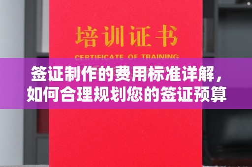 金普新区签证制作的费用标准详解，如何合理规划您的签证预算