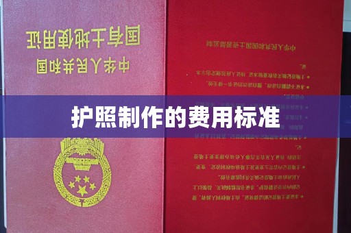 金普新区护照制作的费用标准
