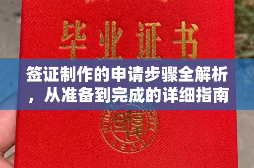 金普新区签证制作的申请步骤全解析，从准备到完成的详细指南