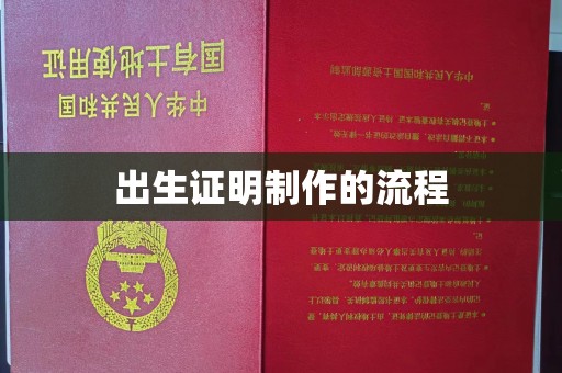 金普新区出生证明制作的流程