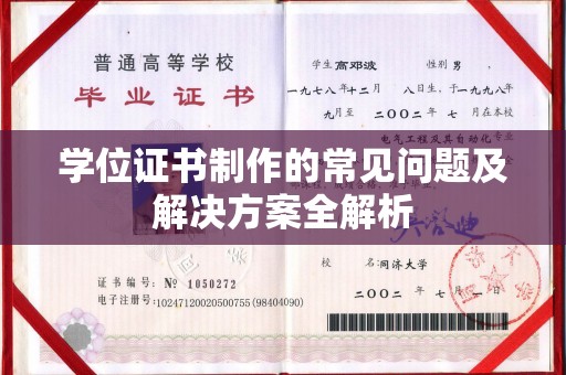 金普新区学位证书制作的常见问题及解决方案全解析