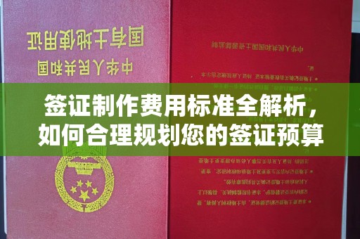 金普新区签证制作费用标准全解析，如何合理规划您的签证预算？