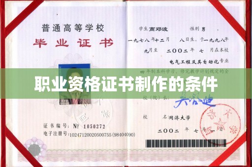 金普新区职业资格证书制作的条件