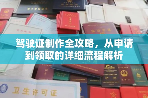 金普新区驾驶证制作全攻略，从申请到领取的详细流程解析