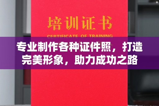 金普新区专业制作各种证件照，打造完美形象，助力成功之路